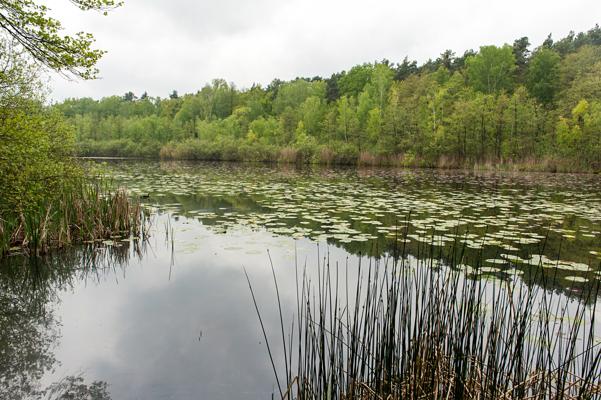 Foto: Dana Klaus, Lizenz: Tourismusverband Dahme-Seenland e.V.